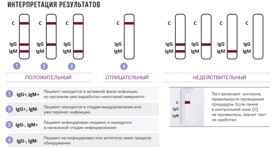 Тест на антитела